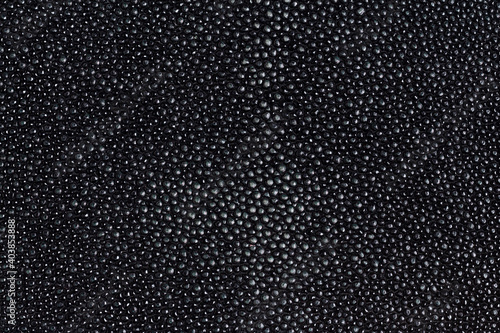 Foto Black stingray skin texture