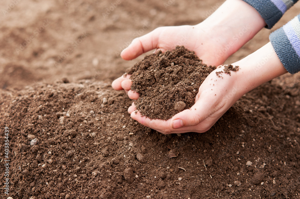 Child's hands filled with fertile soil - nature conservation Child's hands filled with fertile soil - nature conservation