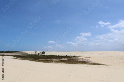 a dune with some Grass and the blue sky 