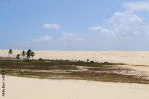a dune with some Grass and the blue sky 