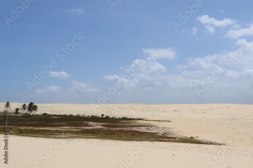 a dune with some Grass and the blue sky  © rafael