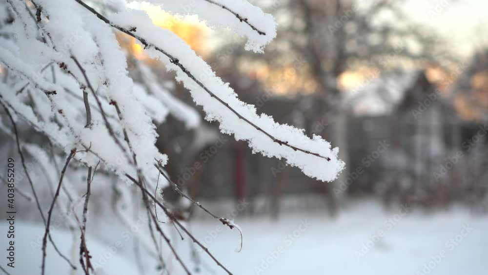Frost on the branches of trees in winter closeup. Snow fell. Frost on the branches of trees in winter closeup. Snow fell.