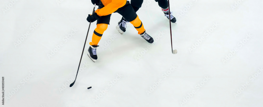 Obraz premium Professional ice hockey player on the ice. Team sport concept