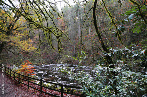 The Hermitage site on the banks of the River Braan in Craigvinean Forest, Scotland photo