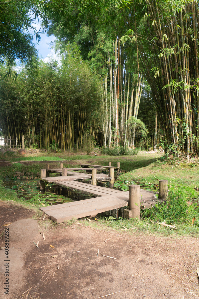 Hermoso y tranquilo paisaje de naturaleza con puentes, caminos y lagos Hermoso y tranquilo paisaje de naturaleza con puentes, caminos y lagos