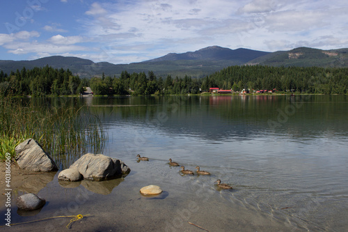 lake and mountains with ducks
