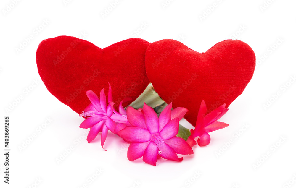 Zygocactus with heart. Zygocactus with heart.