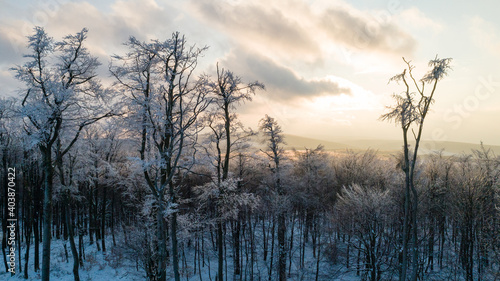 Aerial view of sunset above snow covered trees in a winter forest