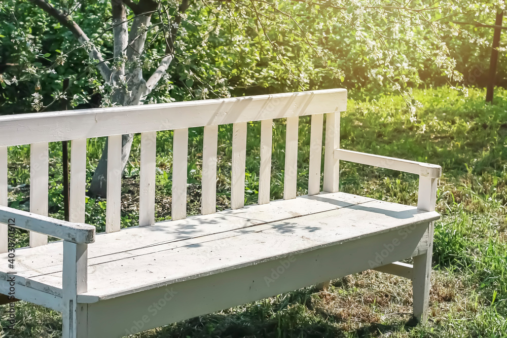 White wooden bench in the garden in summer. White wooden bench in the garden in summer.