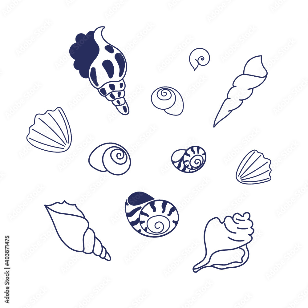 Obraz premium Shels Vector flat Illustration.