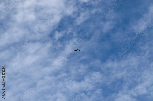 paragliding in the sky © Semih