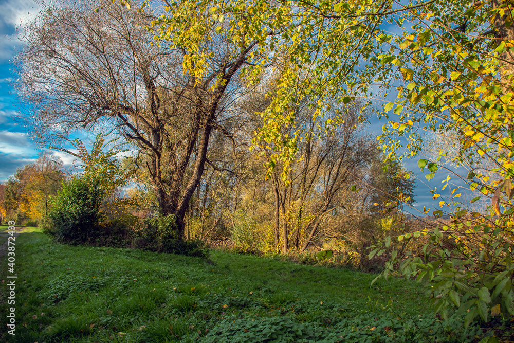 Fototapeta premium Landschaft