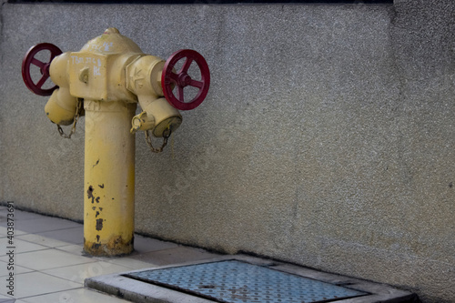 hydrant at a sidewalk