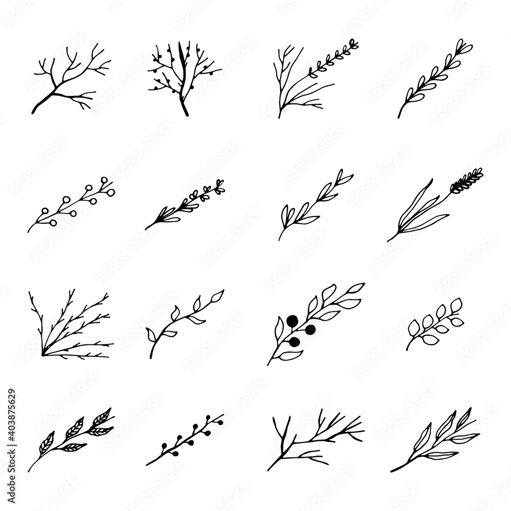 twigs with leaves. vector sketch set