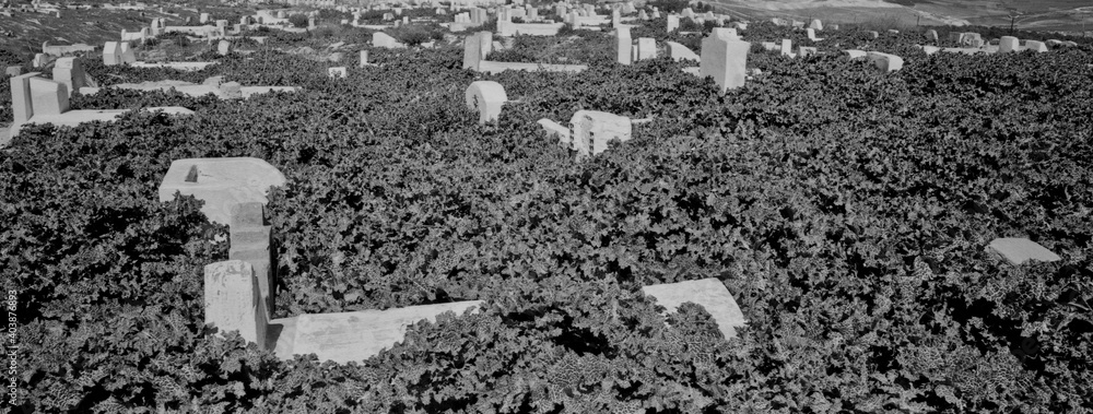 Fototapeta premium Cementerio. Fes el Bali. Fez.Ciudad Imperial.Marruecos.Africa.