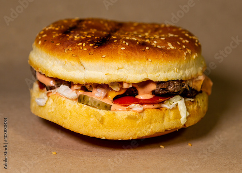 Handmade burger. Bun, Meat, Onion, Cheese, Tomato, Sauce