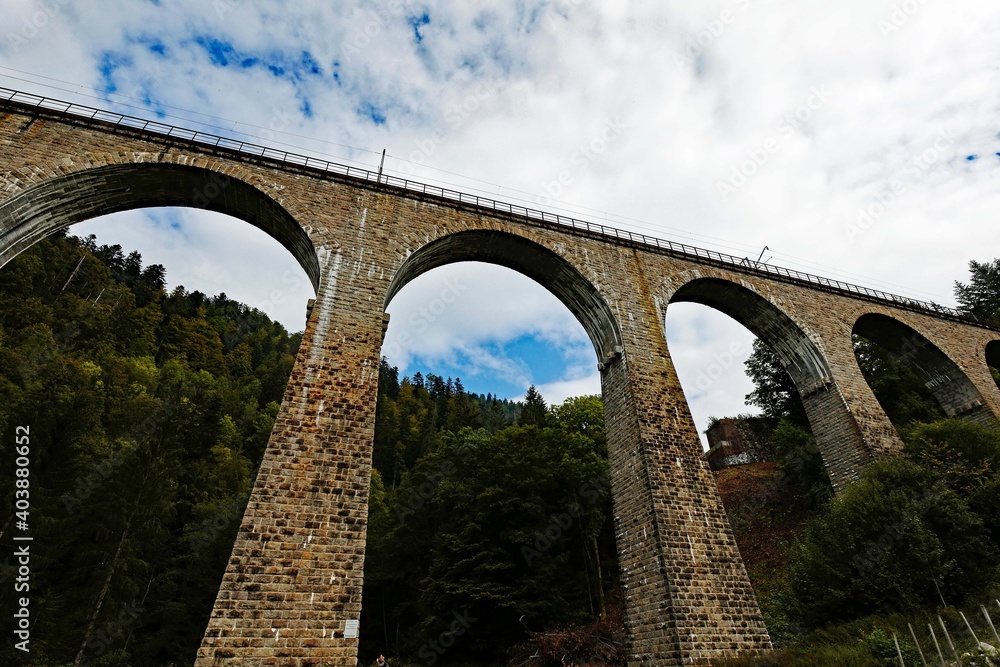 Fototapeta premium Ravennabrücke im Schwarzwald