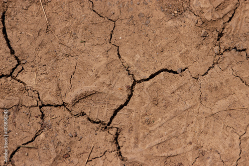 cracked soil background