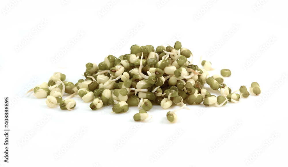 Sprouted mungo beans isolated on white. Super food. Sprouted mungo beans isolated on white. Super food.