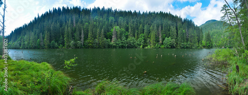 Red lake panorama. Tree trunks coming out of the water, spruce tree forests, and green meadows all are contributing to this place's charm. Romania