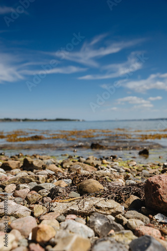 Tall grass and small stones on the beach. Blue sky over sea