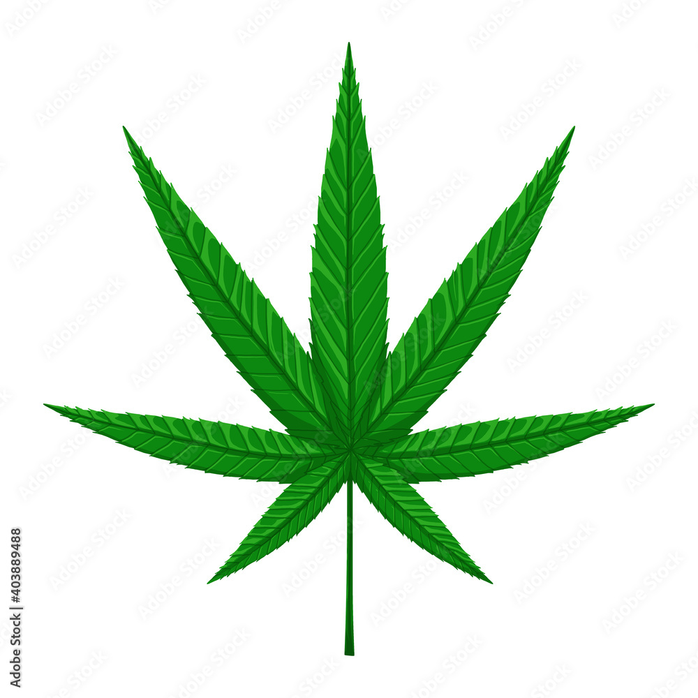 Cannabis leaf art illustration wallpaper texture background design card icon Cannabis leaf art illustration wallpaper texture background design card icon
