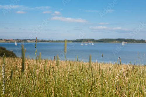 Green meadow next to a lake with blue sky and sailboats