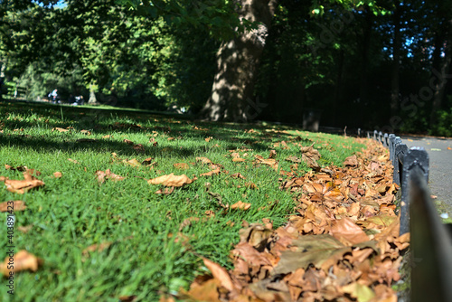 Beautiful foliage beside metal low ground edge on the lawn in St. Stephen's Green Park in the autumnal morning, Dublin, Ireland. Lawn edging. Soft and selective focus