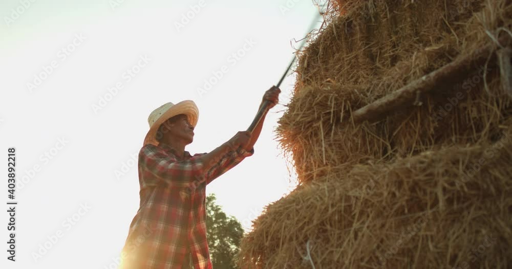 Slow motion silhouette scene of a male Asian farmer in the countryside ...