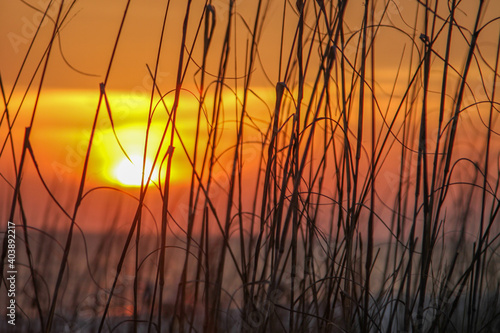 Sunset in the sea oats
