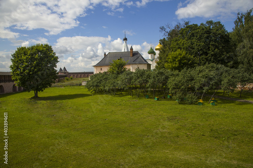 Grassy lawn at the Saviour Monastery of St. Euthymius with trees and bushes photo