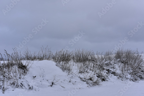 Wallpaper Mural Winter dream winter landscape with gray clouds. Cold season with snow and dark vegetation. Torontodigital.ca