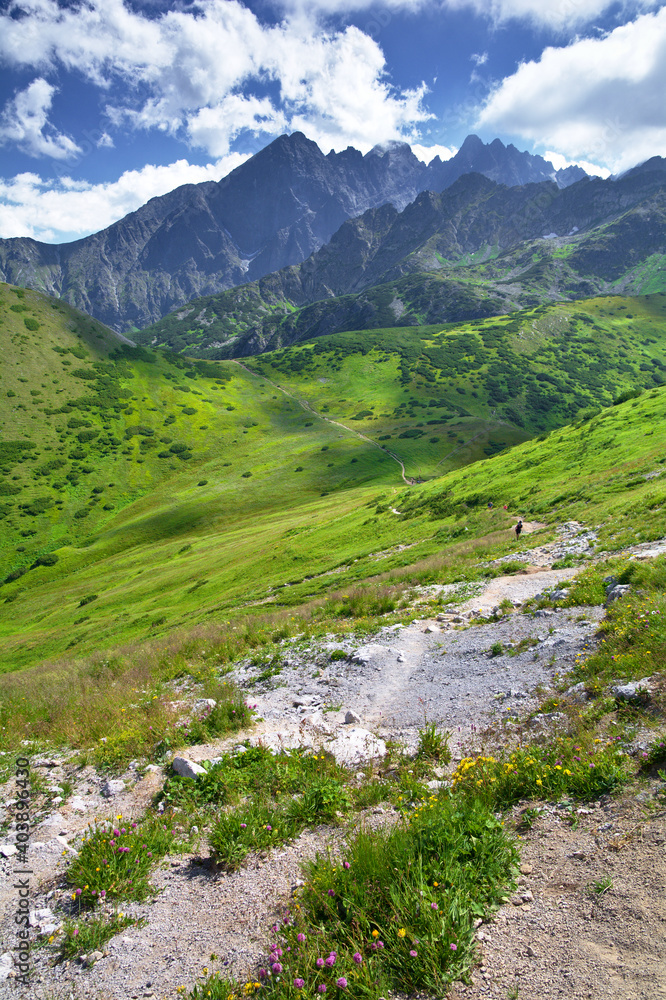 Naklejka premium Tatry Słowackie z Przełęczy Bielskiej Slovakia Tatras
