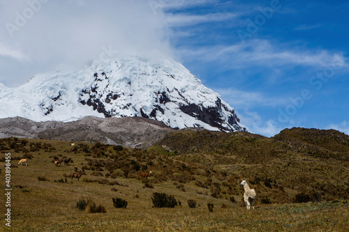 Landscape scenes on the approach to Antisana, a popular volcano