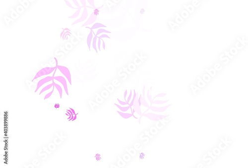 Fototapeta Naklejka Na Ścianę i Meble -  Light Purple, Pink vector elegant pattern with leaves.