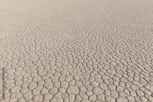Mud Cracks in Death Valley