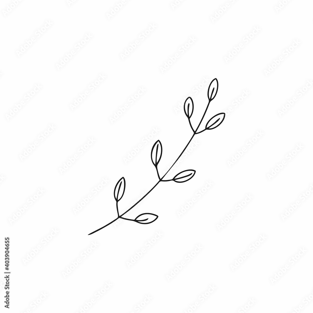 a twig drawn in doodle style. A twig for decorating a postcard. Vector contour illustration