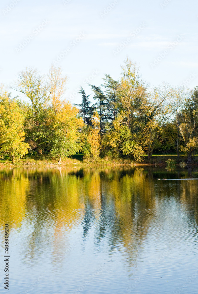 Lac au parc du bois vieux