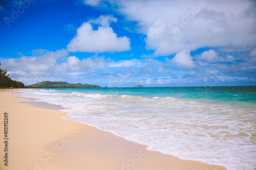 Makapuu beach park  East Oahu coast  Hawaii