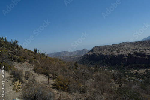 view of a winding road among mountains on a sunny day taken from a hill among cactus