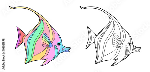 Angelfish coloring page. Vector illustration.