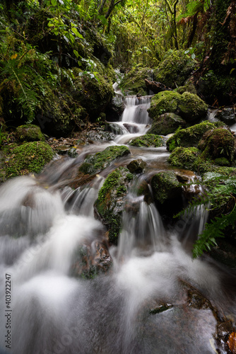 A long exposure of a New Zealand waterfall and river in the Tararua ranges