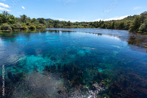 Te Waikoropupu Springs and clear blue pools in New Zealand also known as Pupu springs