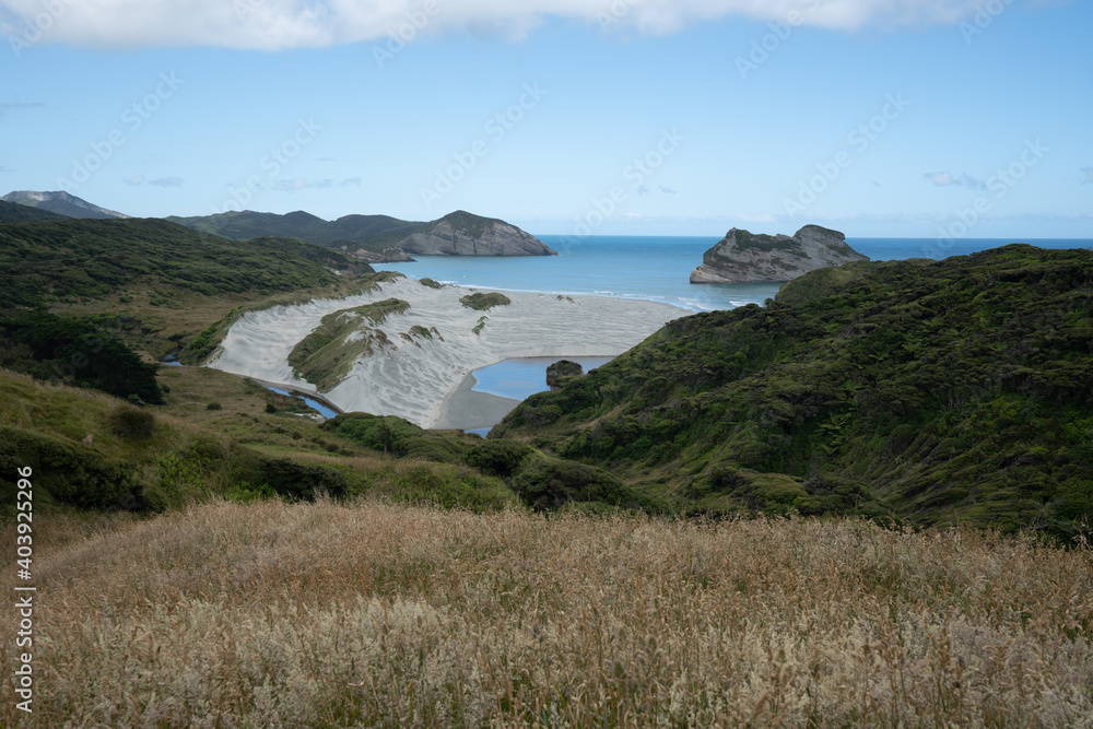 Scenic landscape of Wharariki beach in New Zealand