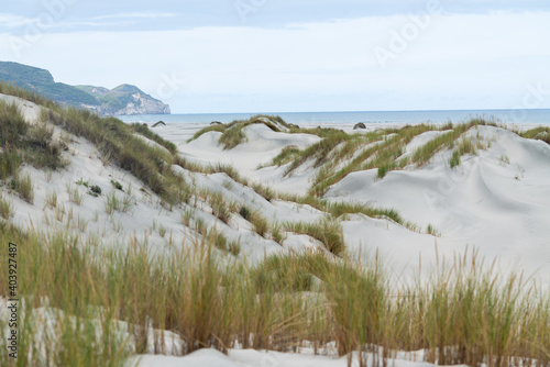 Sand Dunes on Farewell Spit in Golden Bay New Zealand photo