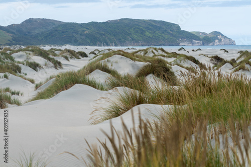 Sand Dunes on Farewell Spit in Golden Bay New Zealand photo