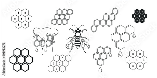 Vector icons illustration  honeycomb and bee isolated on white background.