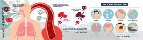 CO level chest pain loss of consciousness gas death cherry red skin cyanide toxicity motor car fuel  methylene chloride blood prevent alarm oxygen toxic harmful danger device detect safety silent leak photo