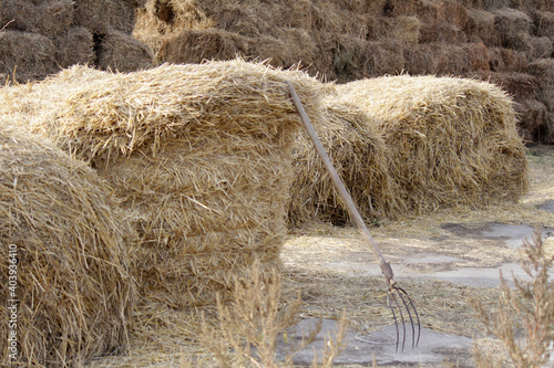 Dry straw background for farm decoration