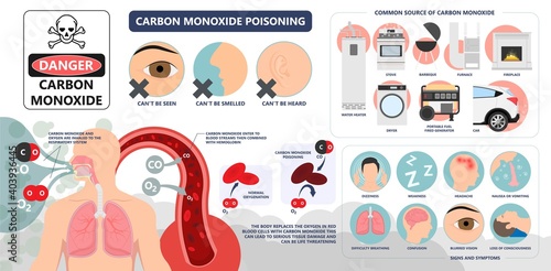 CO level chest pain loss of consciousness gas death cherry red skin cyanide toxicity motor car fuel  methylene chloride blood prevent alarm oxygen toxic harmful danger device detect safety silent leak